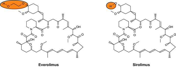 Chemical-structures-of-everolimus-and-sirolimus2