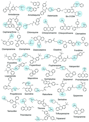 Representative-examples-of-cationic-amphiphilic-drugs-that-are-identified-in-SARS-CoV-2