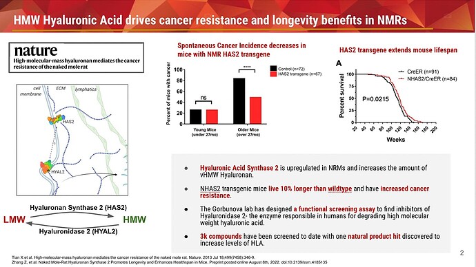 HMWHyaluronicAcid