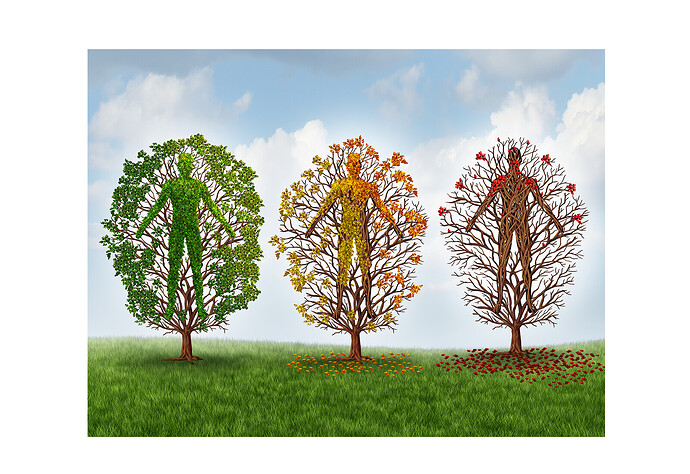 Human-aging-illustration2