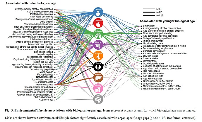 OrganSystemsAging