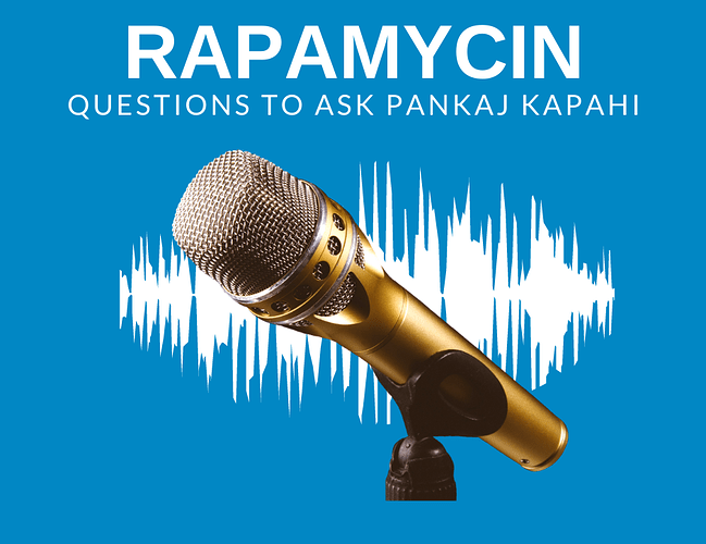 Guest questions v1