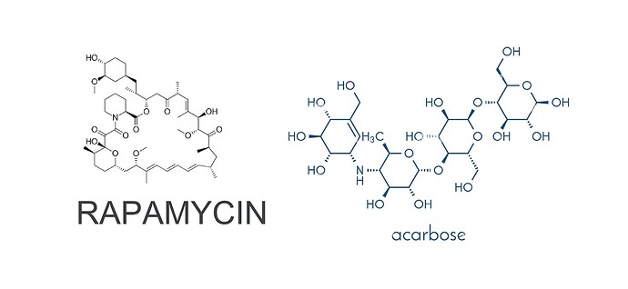 RapaAcarboseMol3