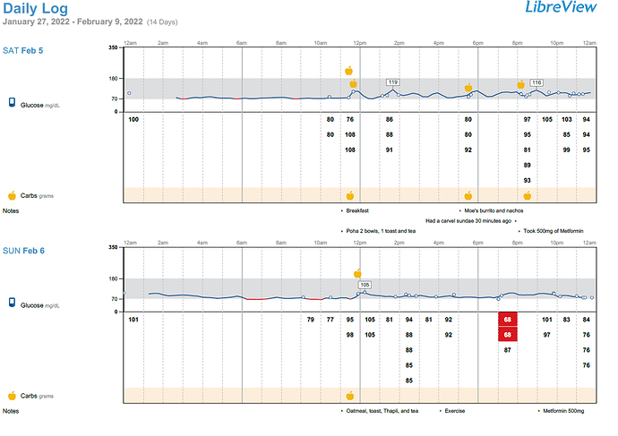 Libre CGM Metformin and Farxiga