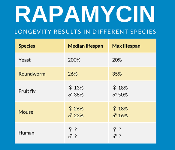 Rapamycin species