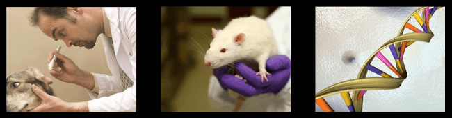 AnimalResearch2