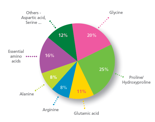 peptan-amino-acids