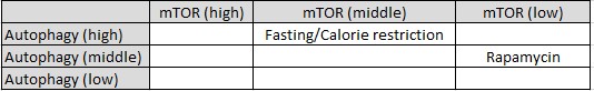 Fasting Rapamycin