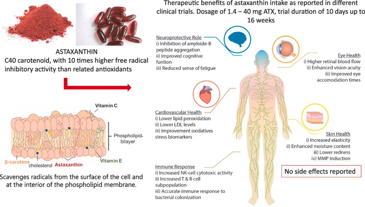 Astaxanthin A Potential Treatment in Disease and Aging, Lifespan