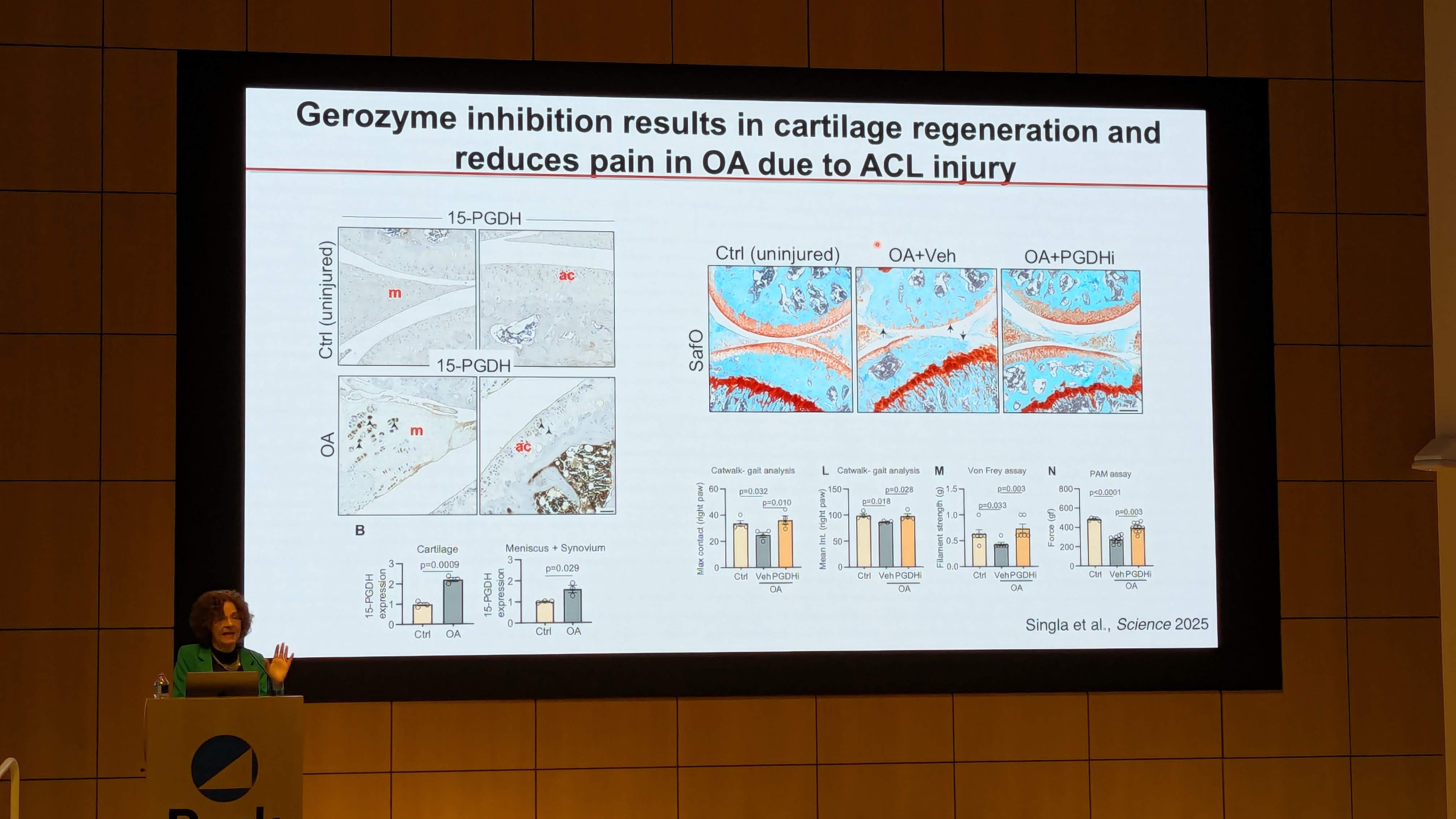 PXL_20251209_180831257