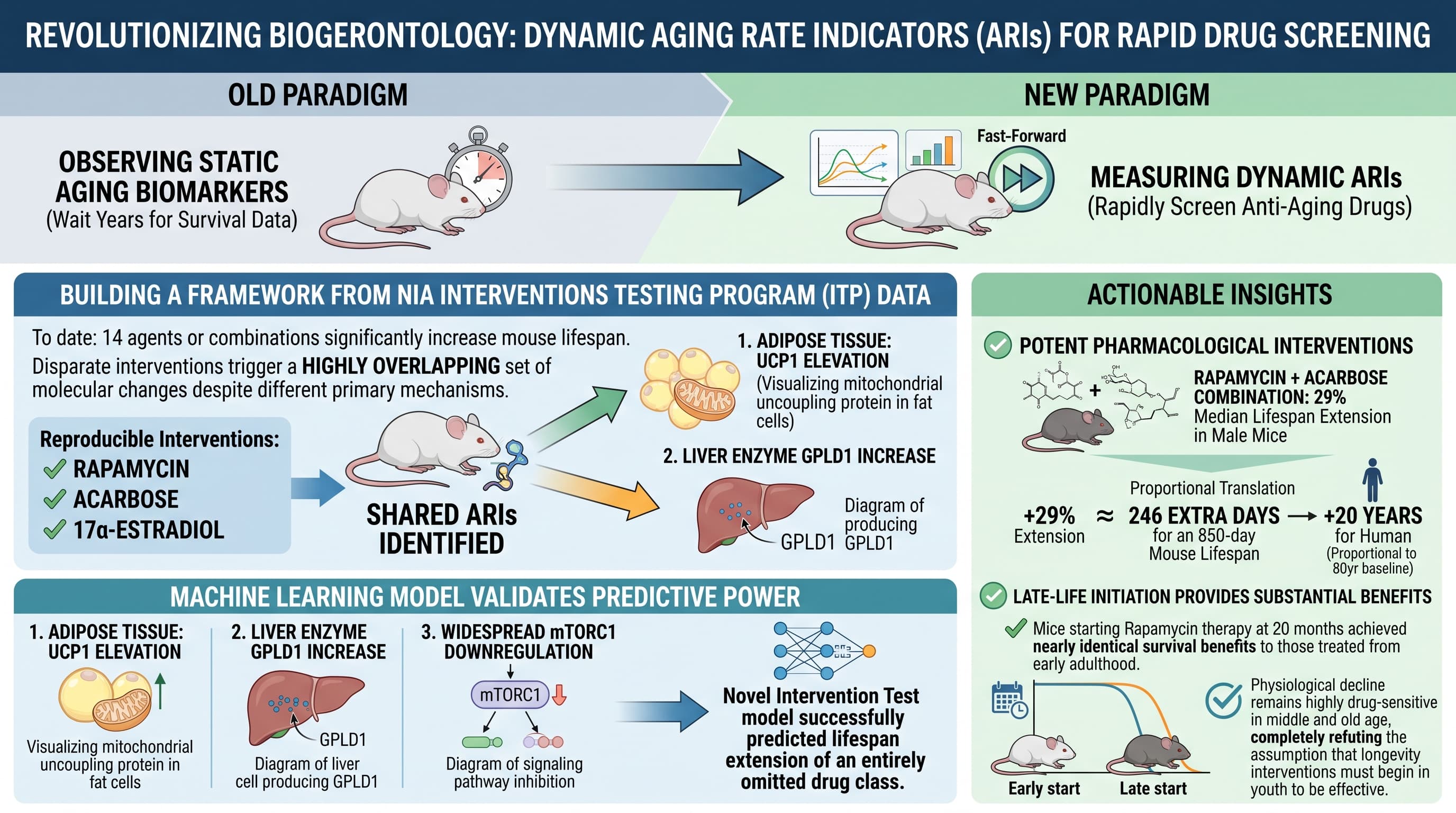 AgingRateIndicators