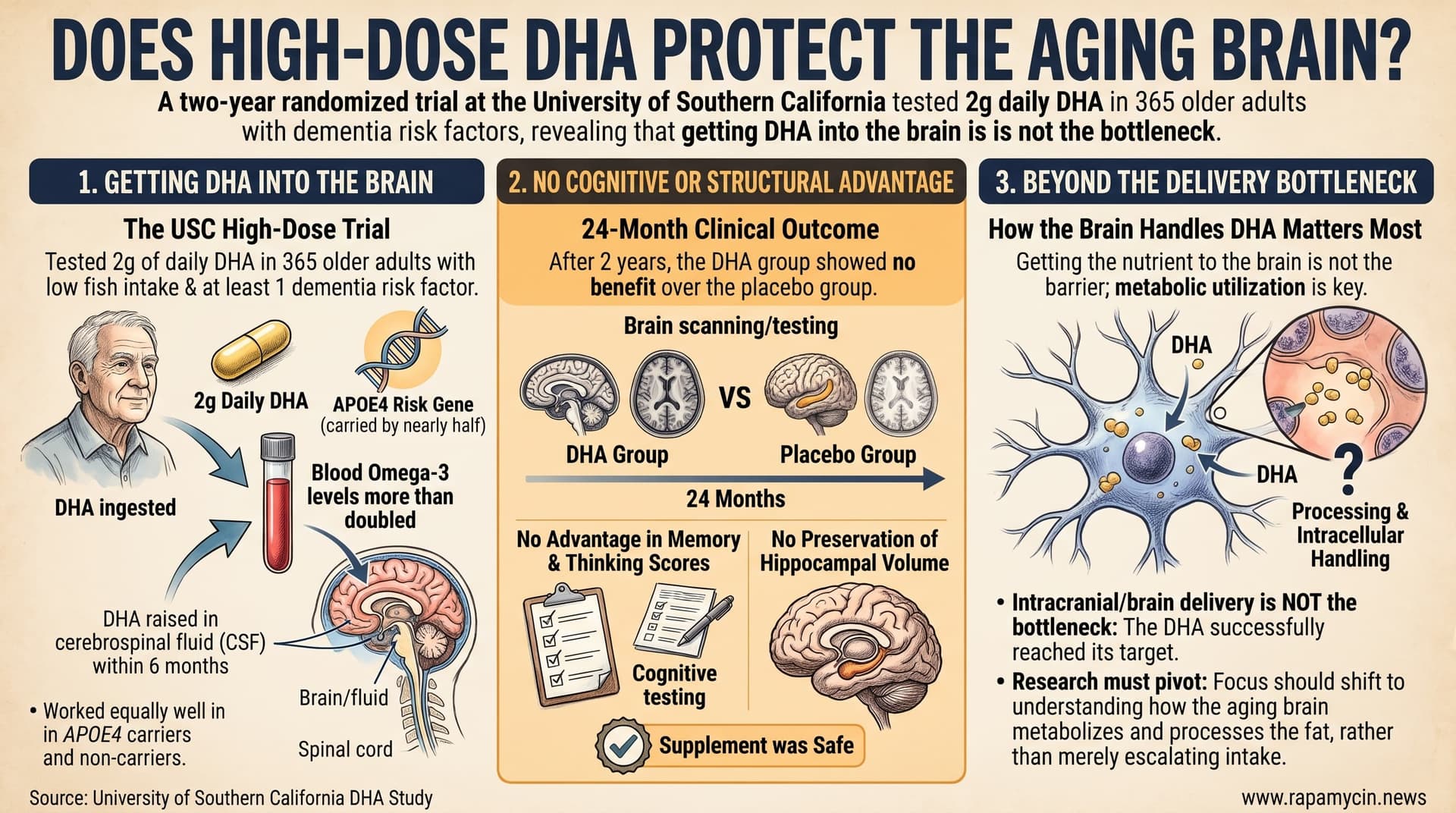DHAFishOilBrainMemory-2