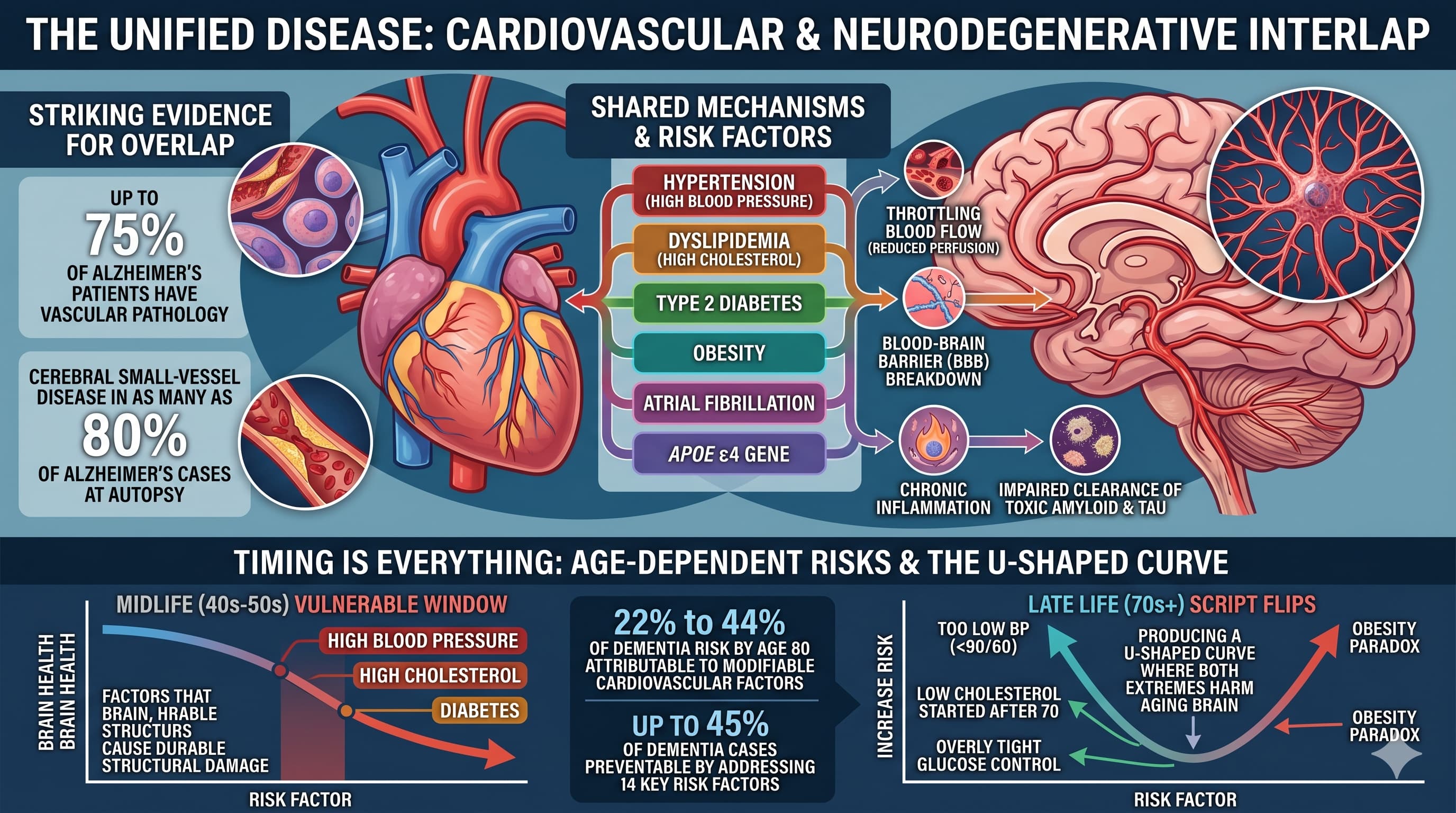 NeuroCardio