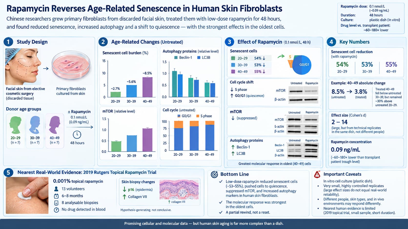 RapaSkinFibroGPT