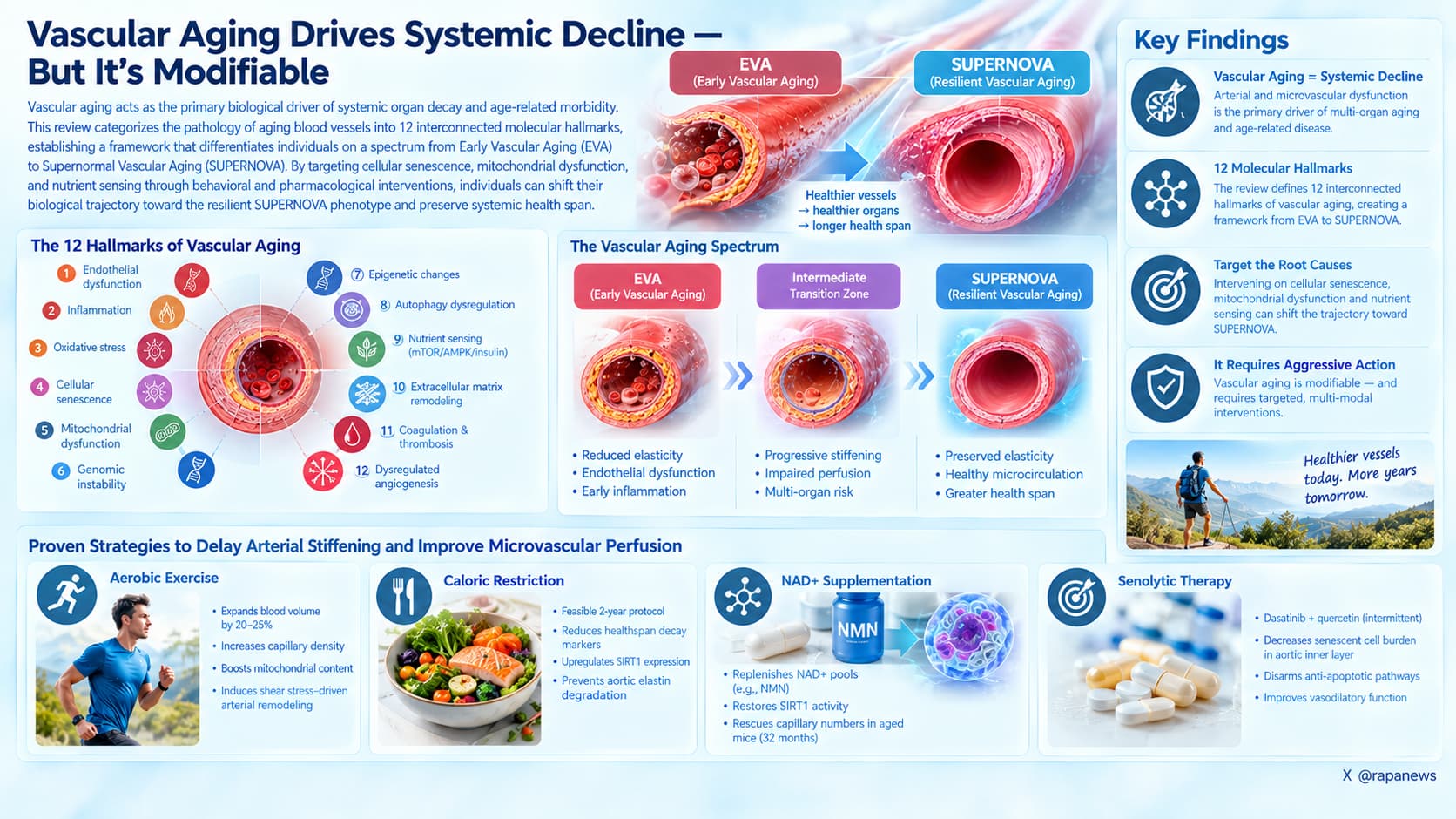 Vascular Aging_ From EVA to SUPERNOVA