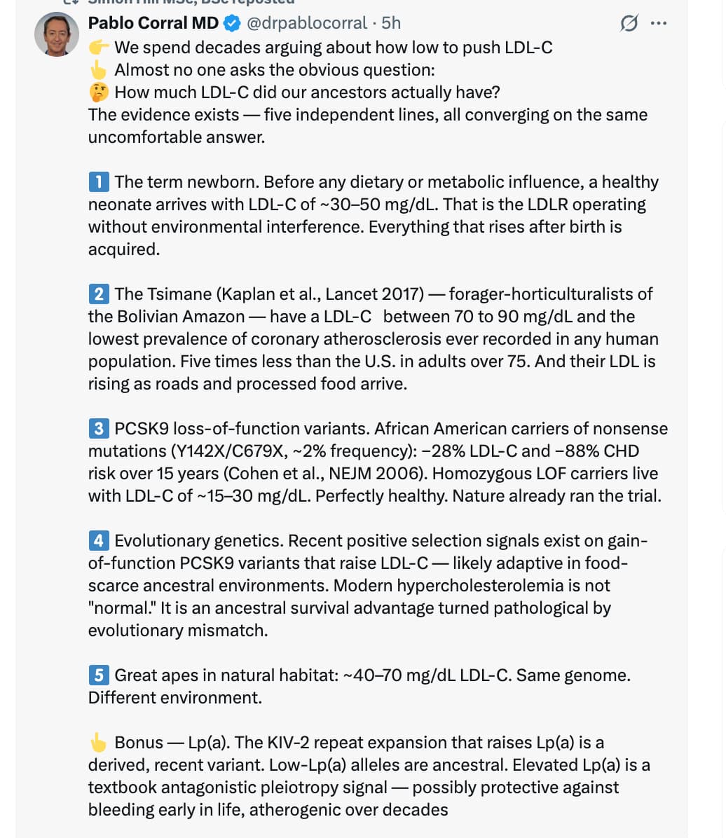 Screenshot 2026-04-11 at 1.55.12 PM