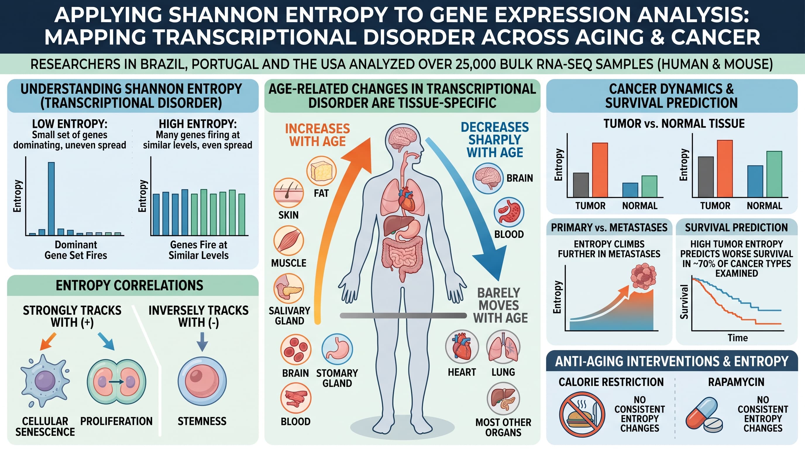EntropyAgingCancer