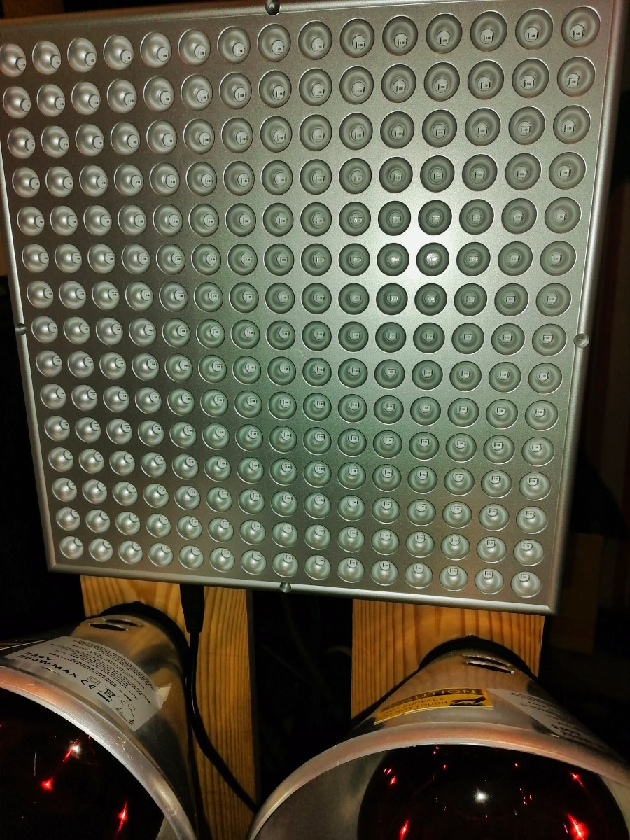 IMG_20260314_101640_optimised