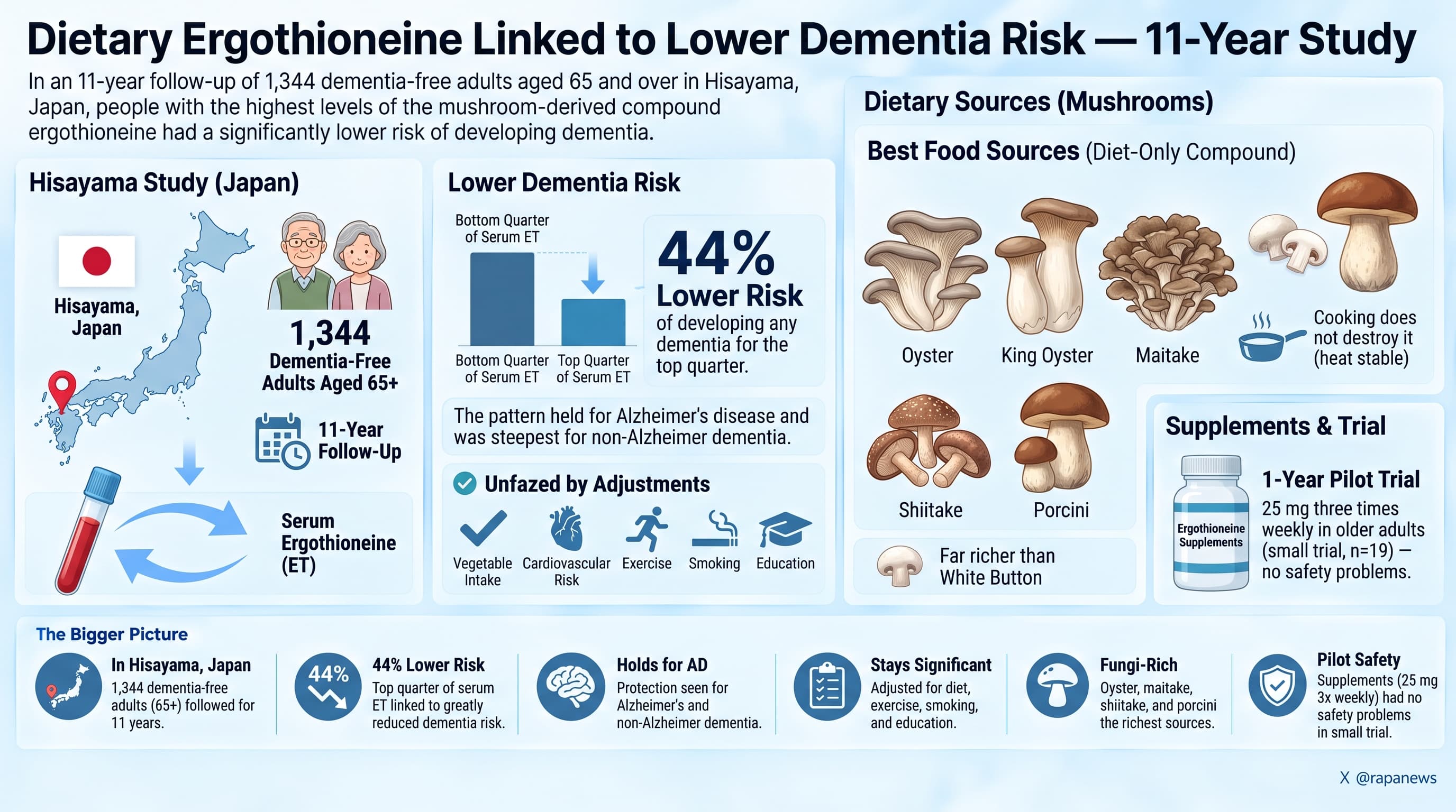 ergothioneineDementia-2