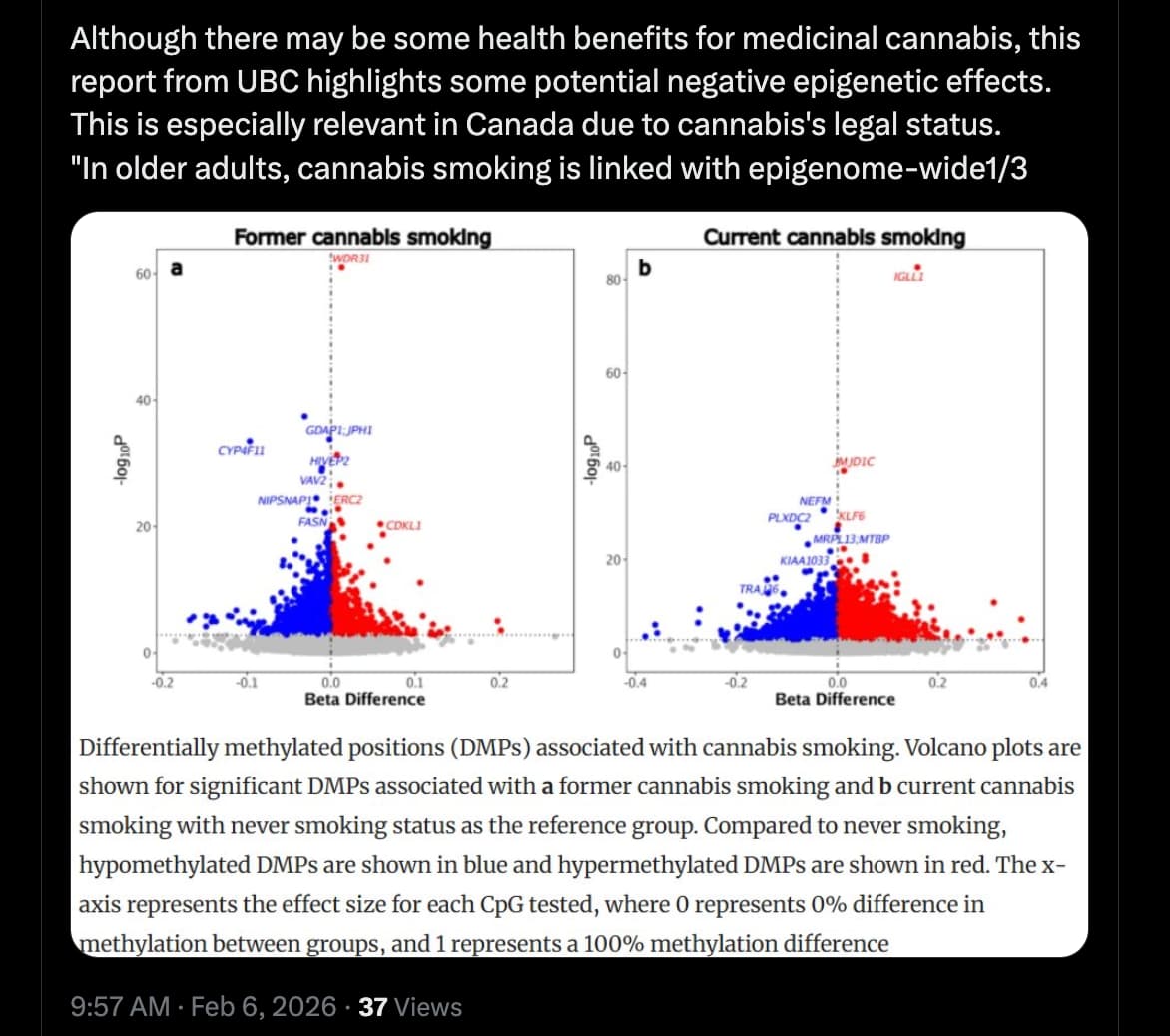 Screenshot 2026-02-06 at 11.04.57 PM