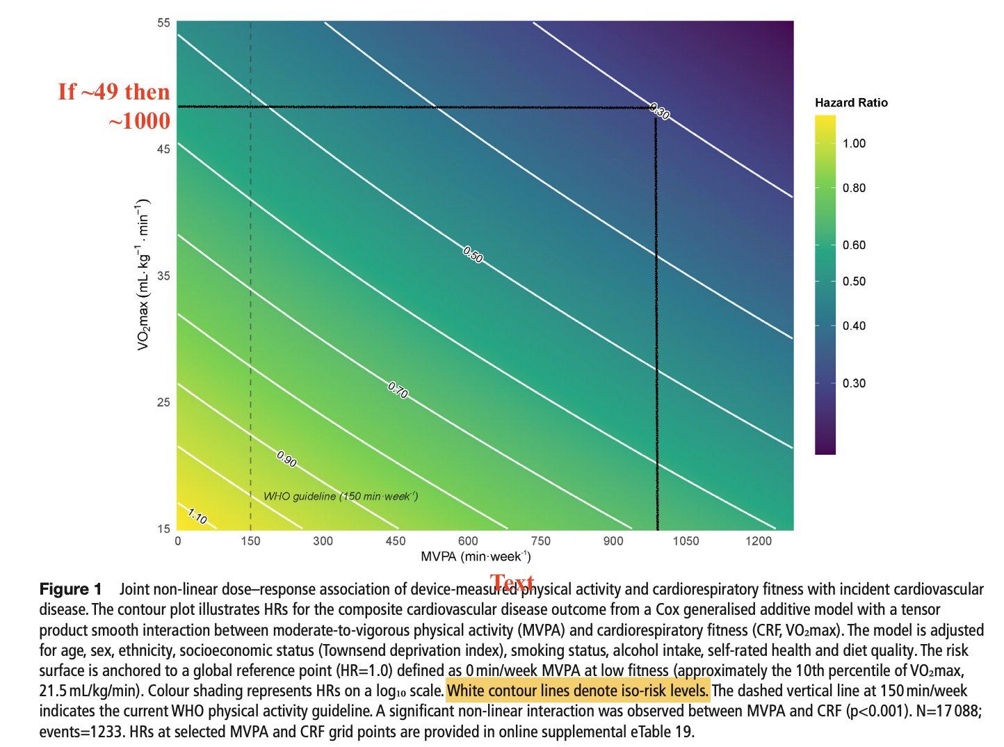 Vo2MaxRisks
