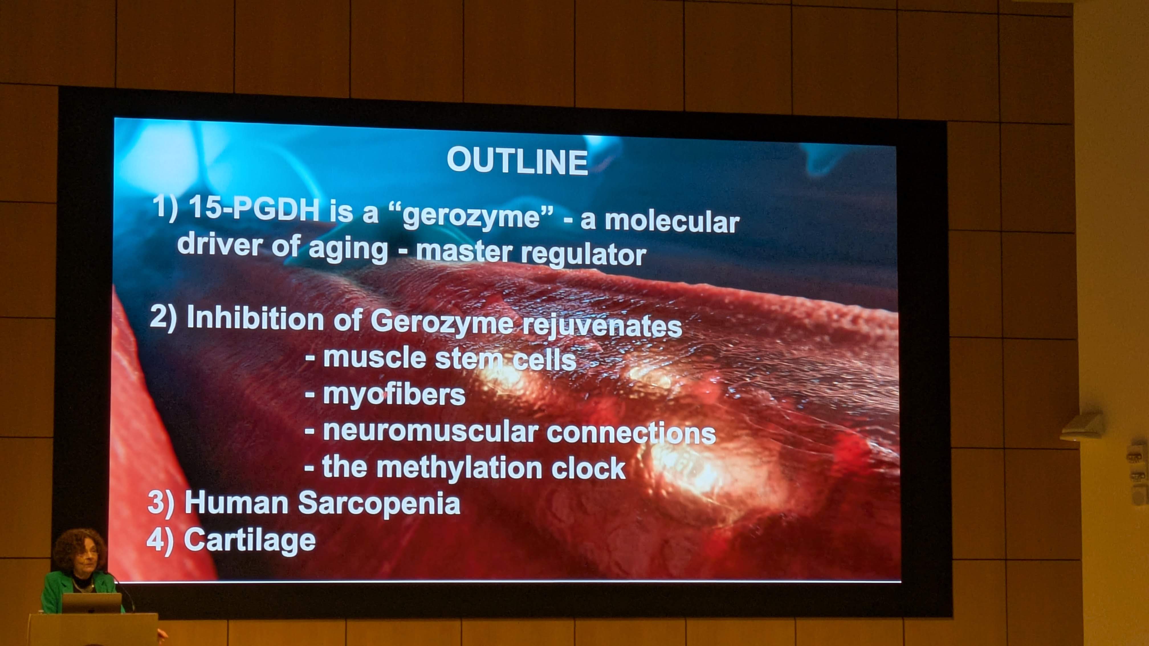 PXL_20251209_175334963