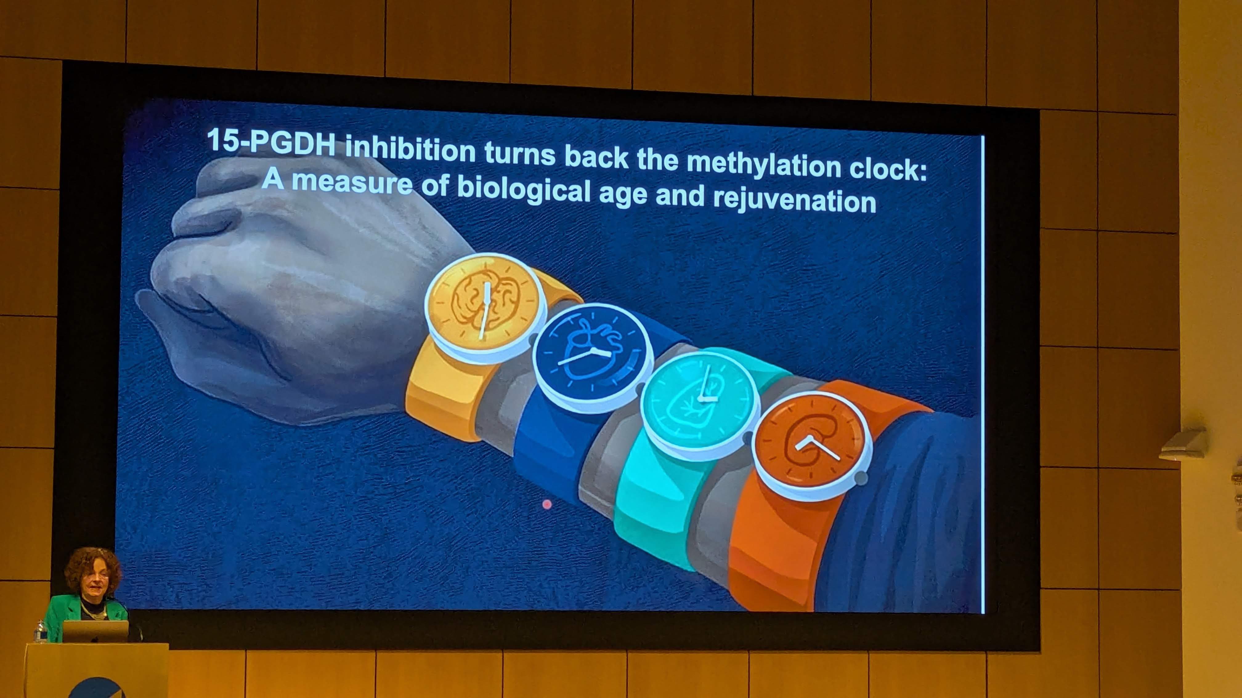 PXL_20251209_180255637