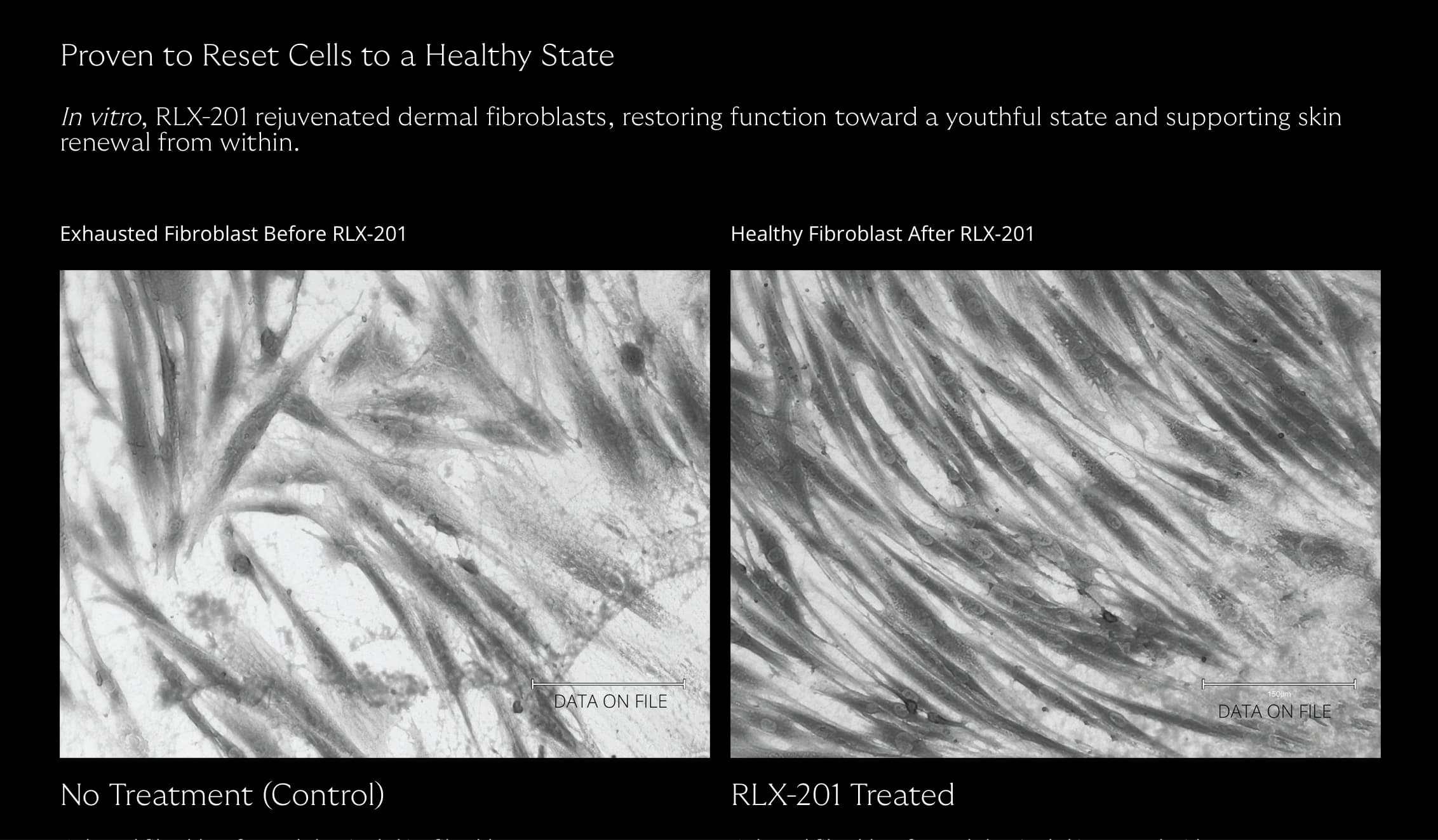 Screenshot 2025-10-30 at 1.36.57 PM