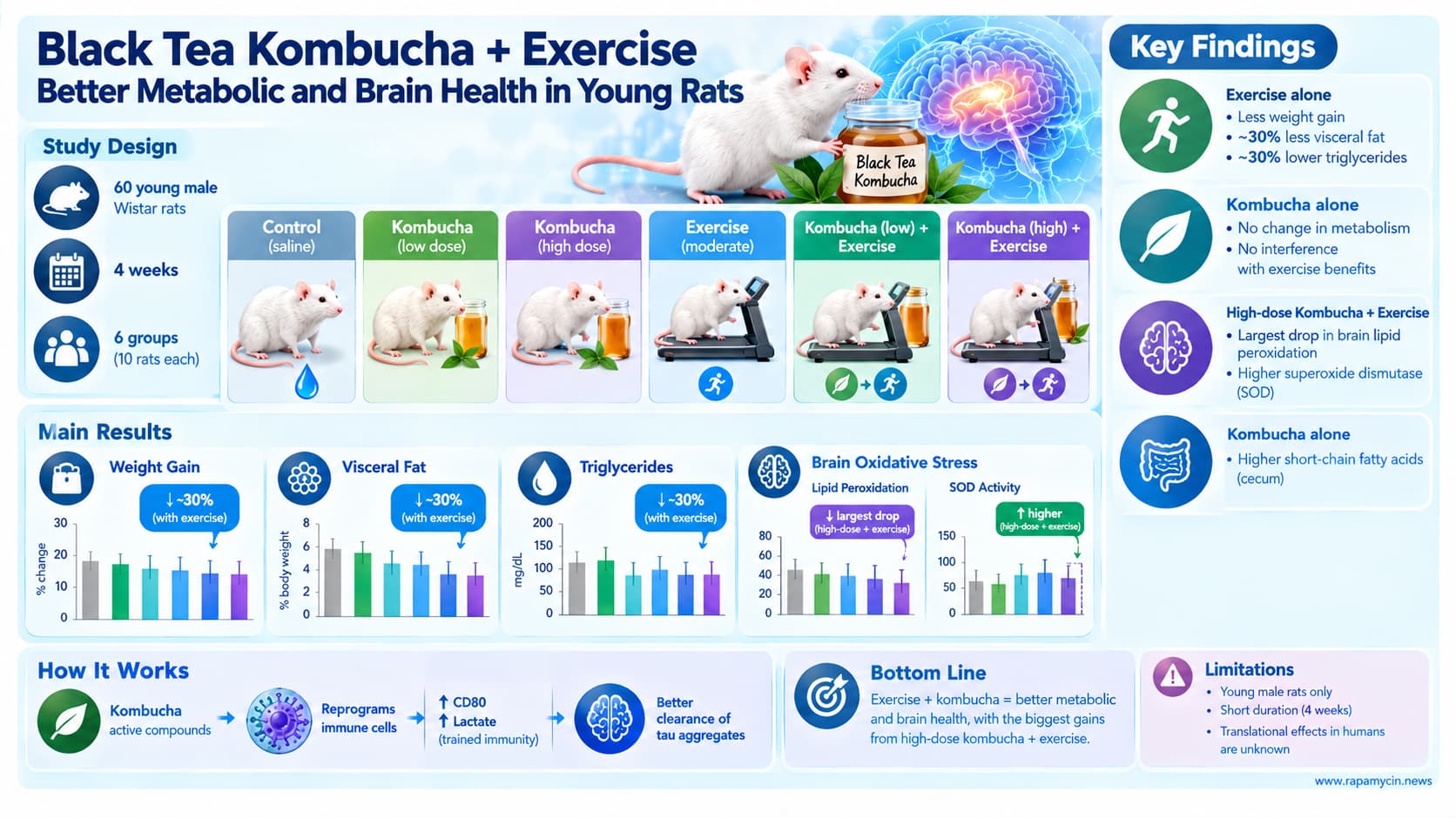 Black Tea Kombucha and Exercise Study Infographic