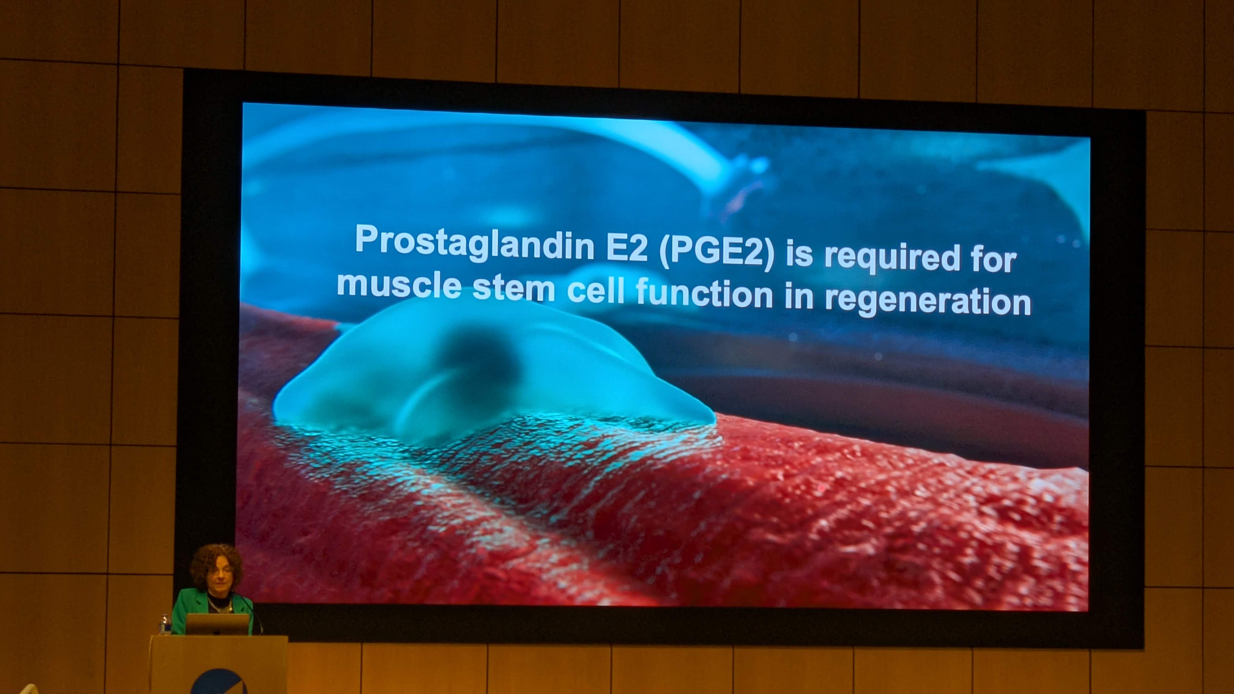 PXL_20251209_175743407