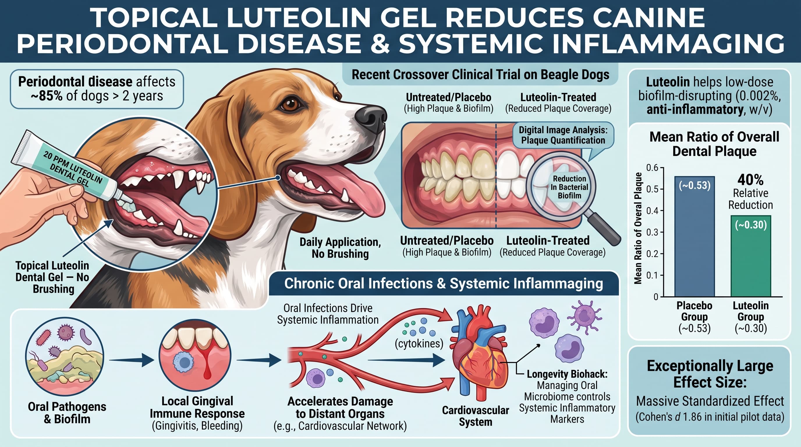 DoggyDentals