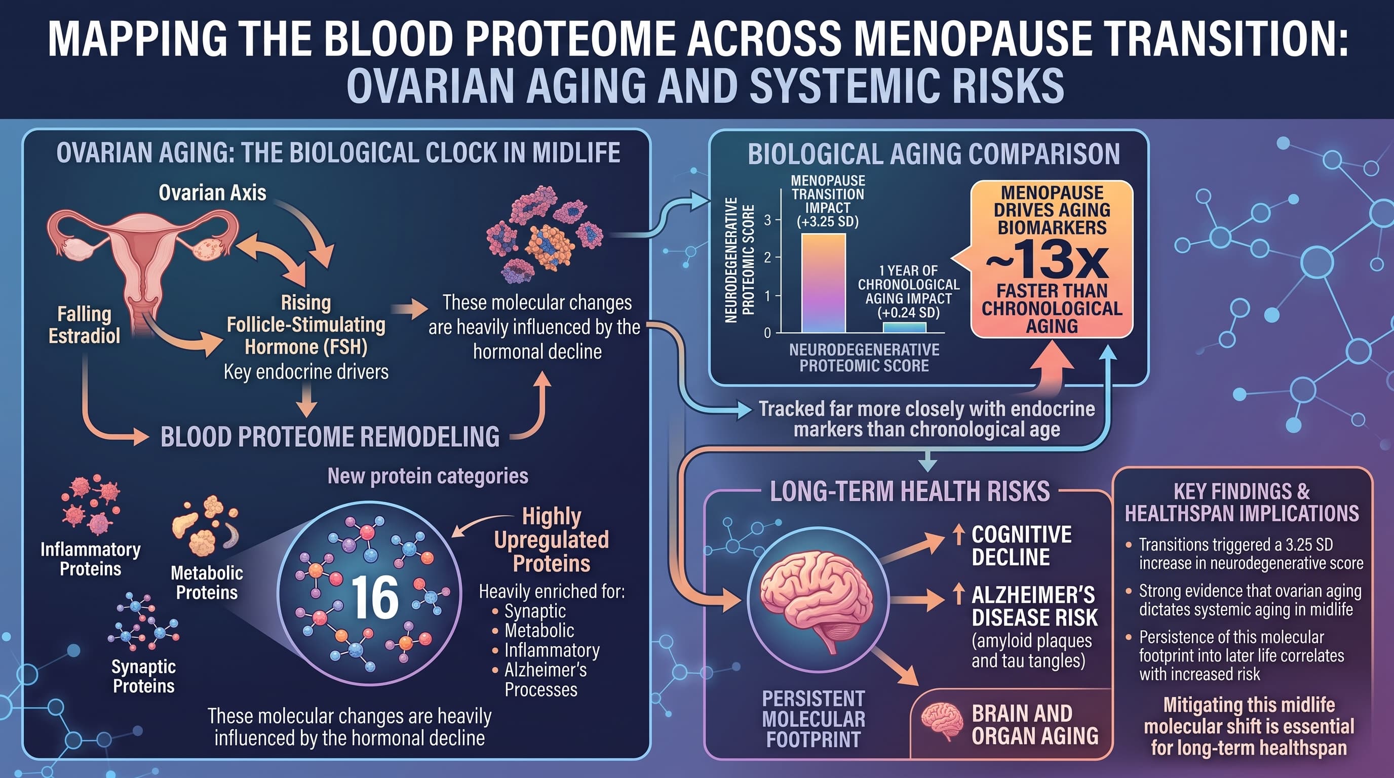 MenopauseDementia