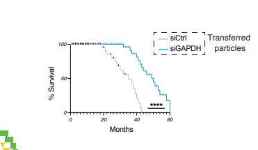 Screenshot From 2026-01-22 17-42-13