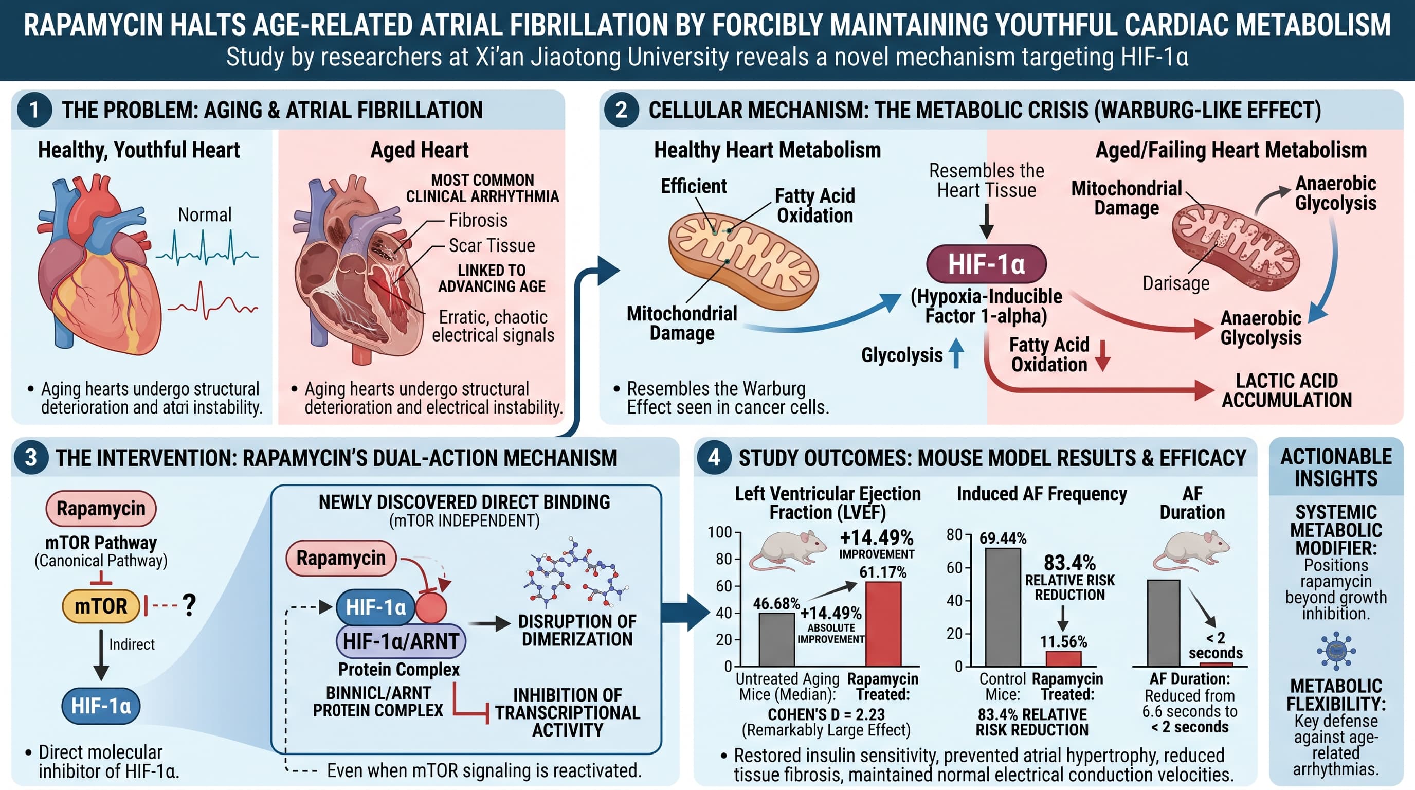 RapamycinAfib