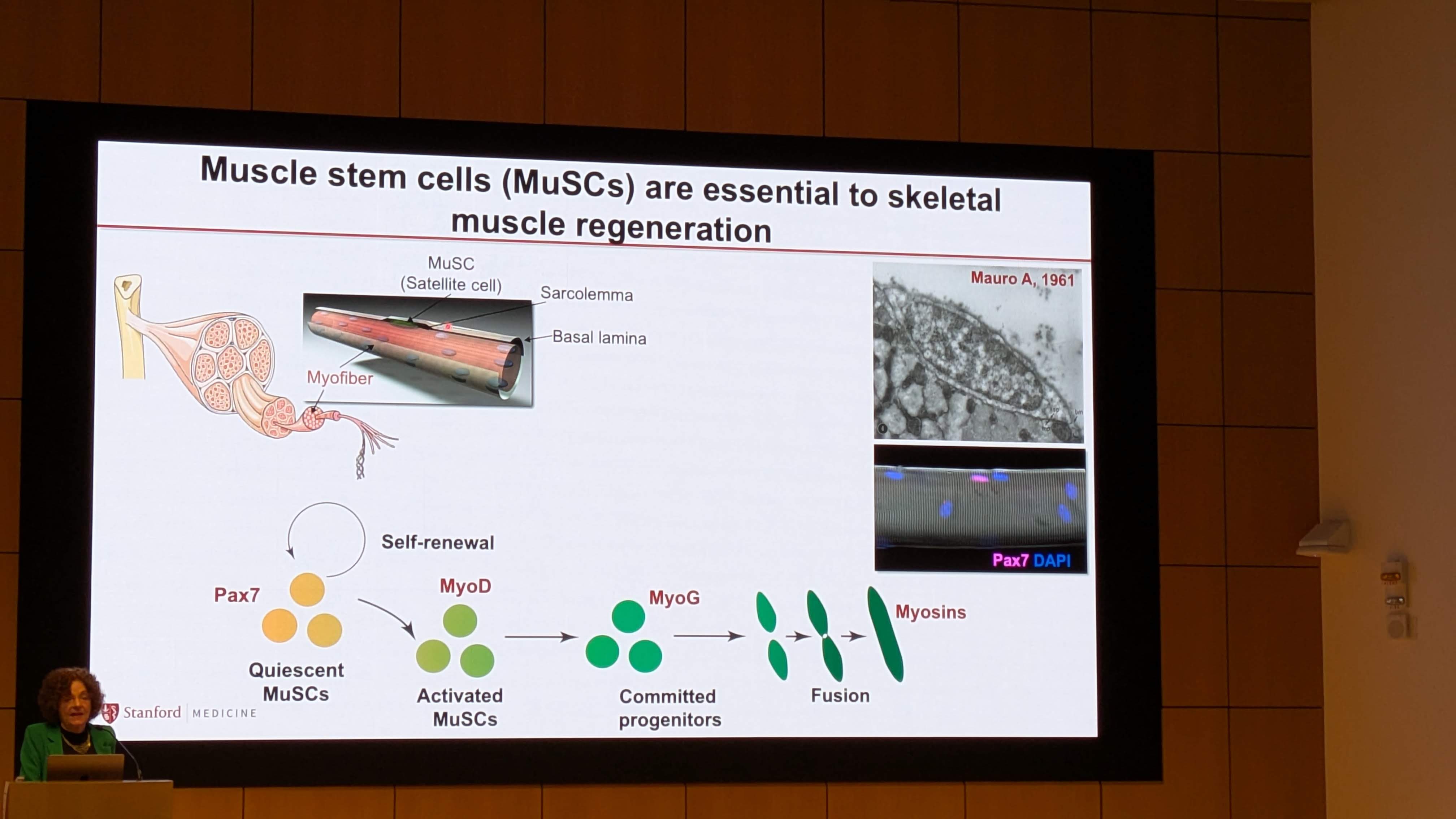 PXL_20251209_175415311