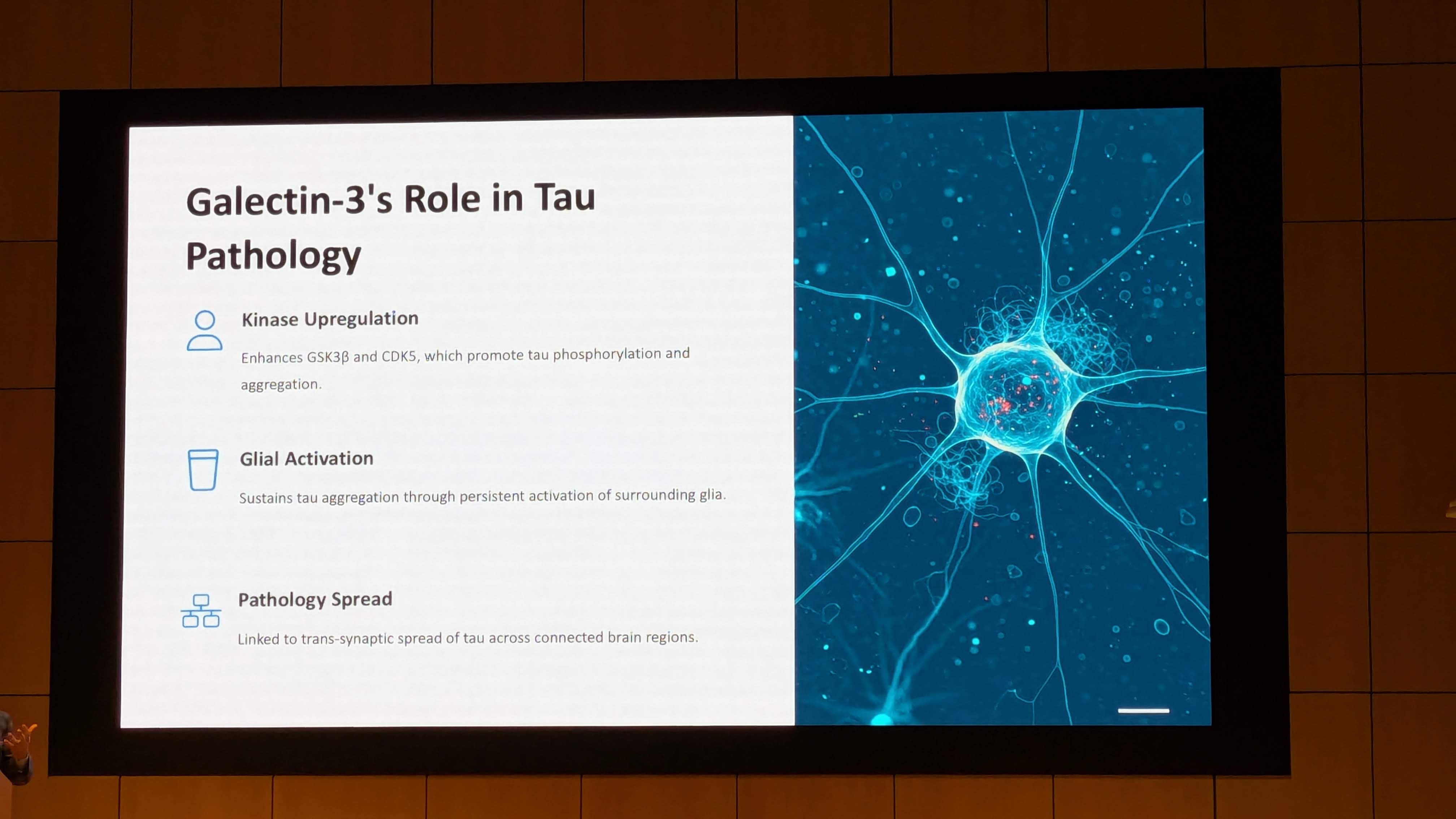 PXL_20251210_234346874