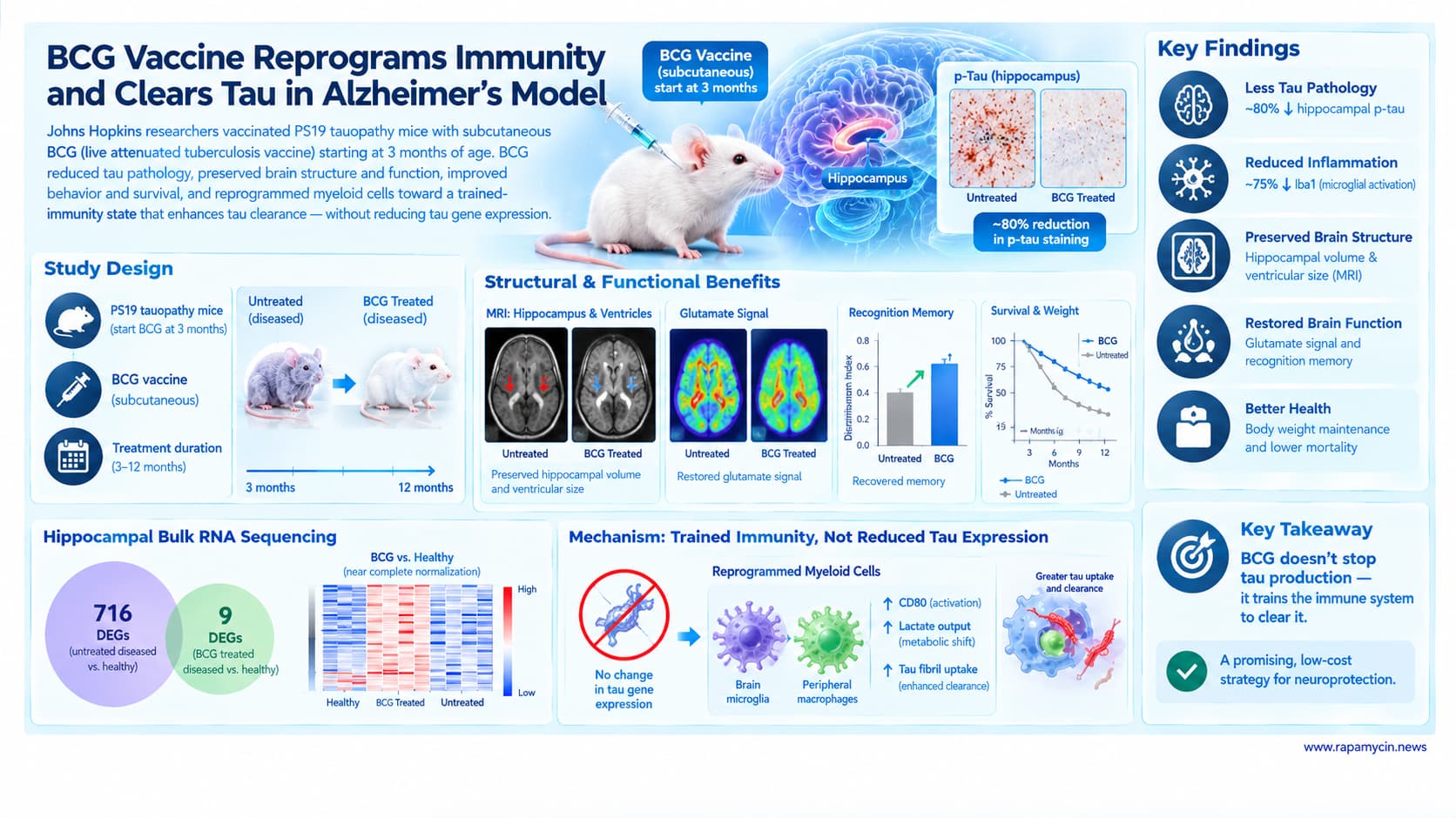 BCG Vaccine Reprograms Immunity Against Alzheimer’s Tau