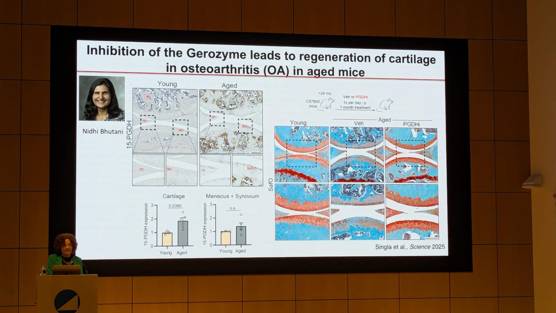 PXL_20251209_180756061