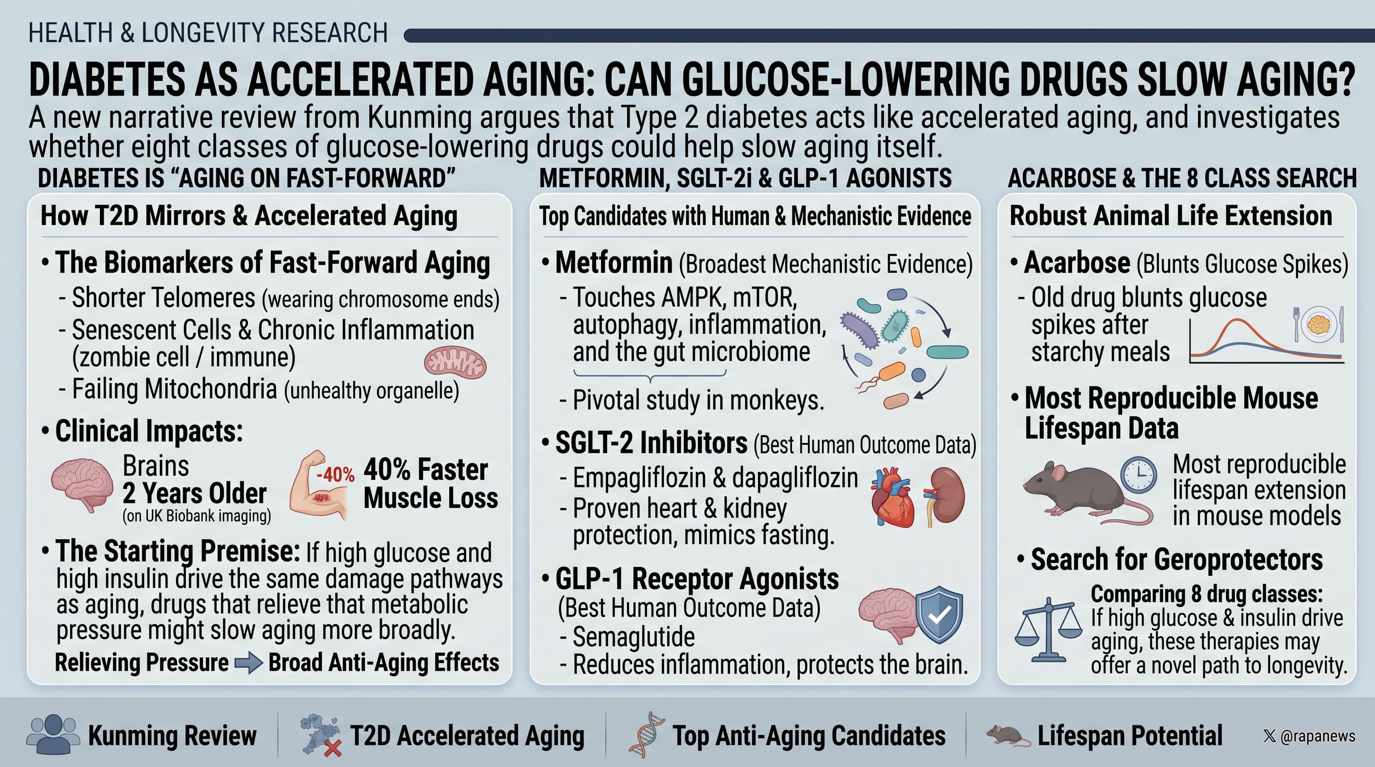 DiabetesasAcceLAging-2