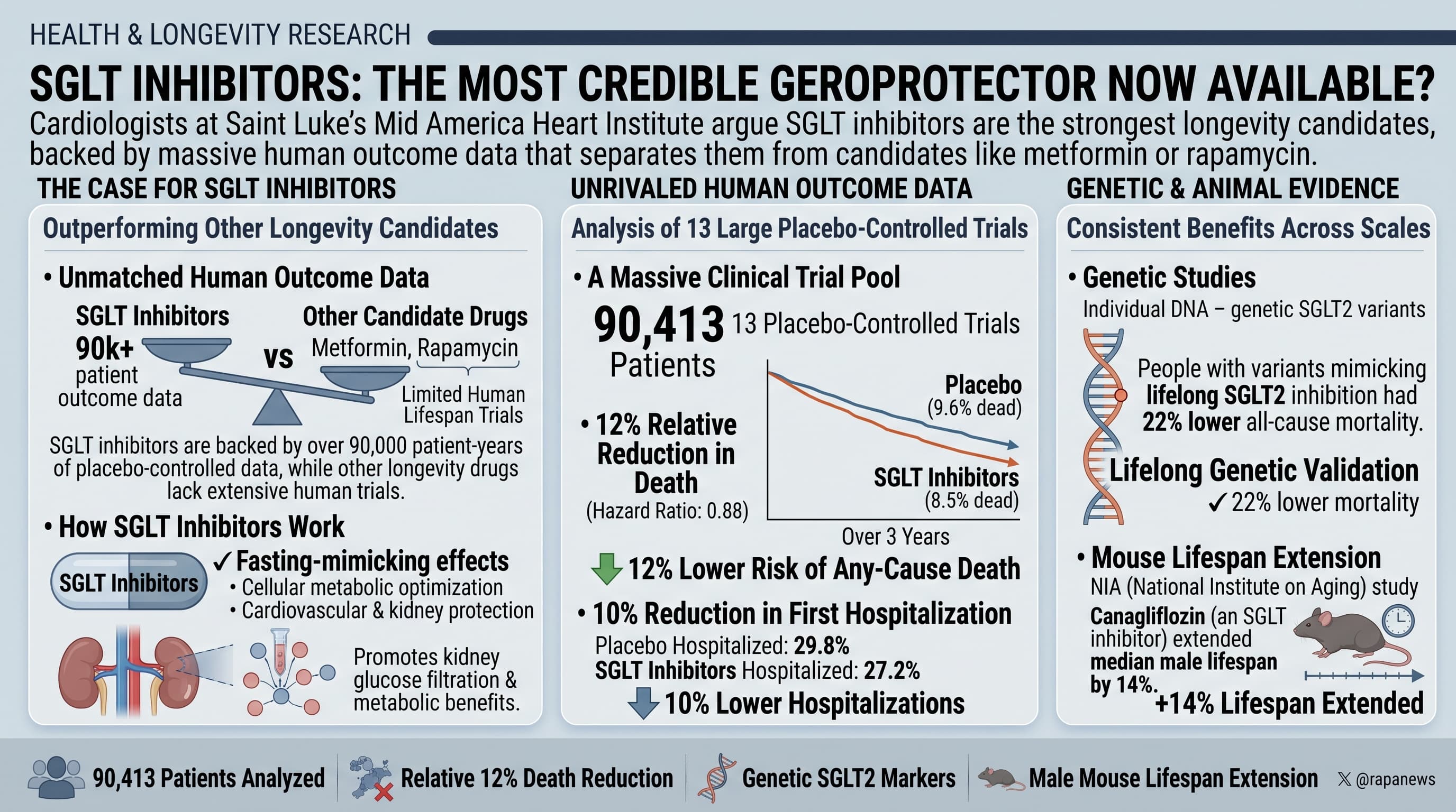 SGLT2iGeroprotectors-2