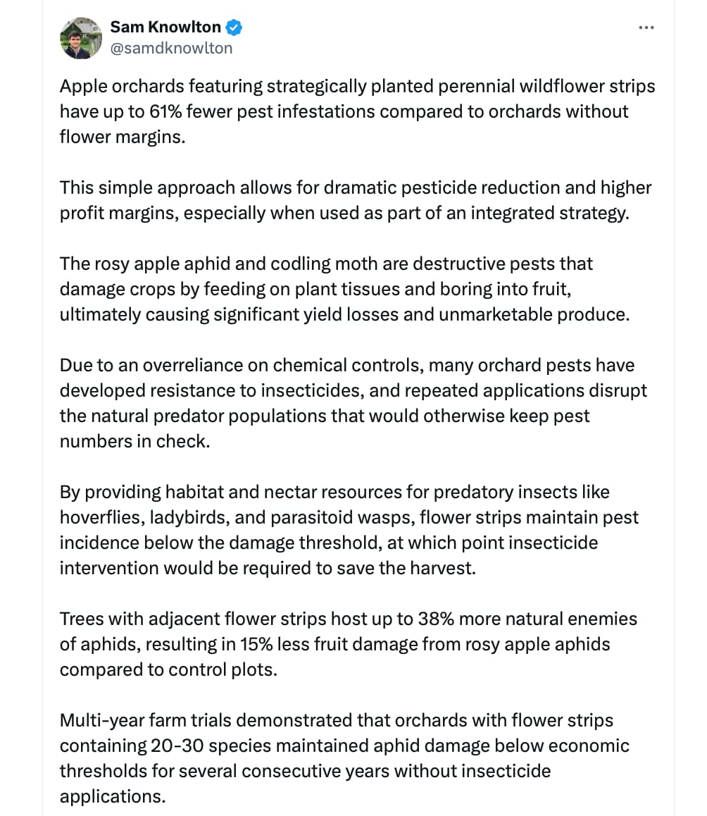 Screenshot 2025-10-03 at 10.37.18 AM