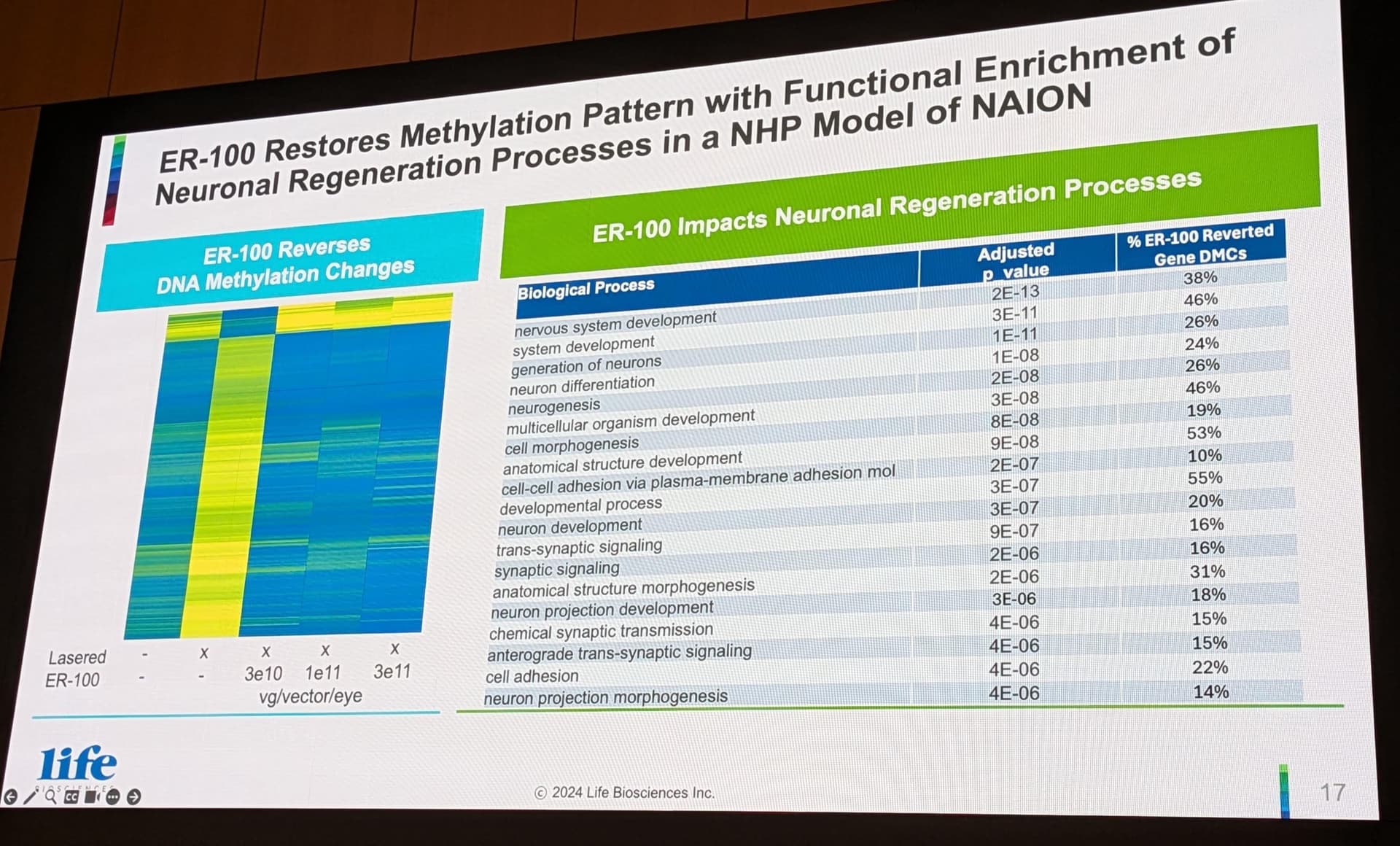 PXL_20251209_214013477