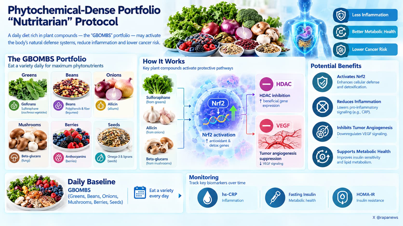 Phytochemical-Dense GBOMBS Protocol Infographic