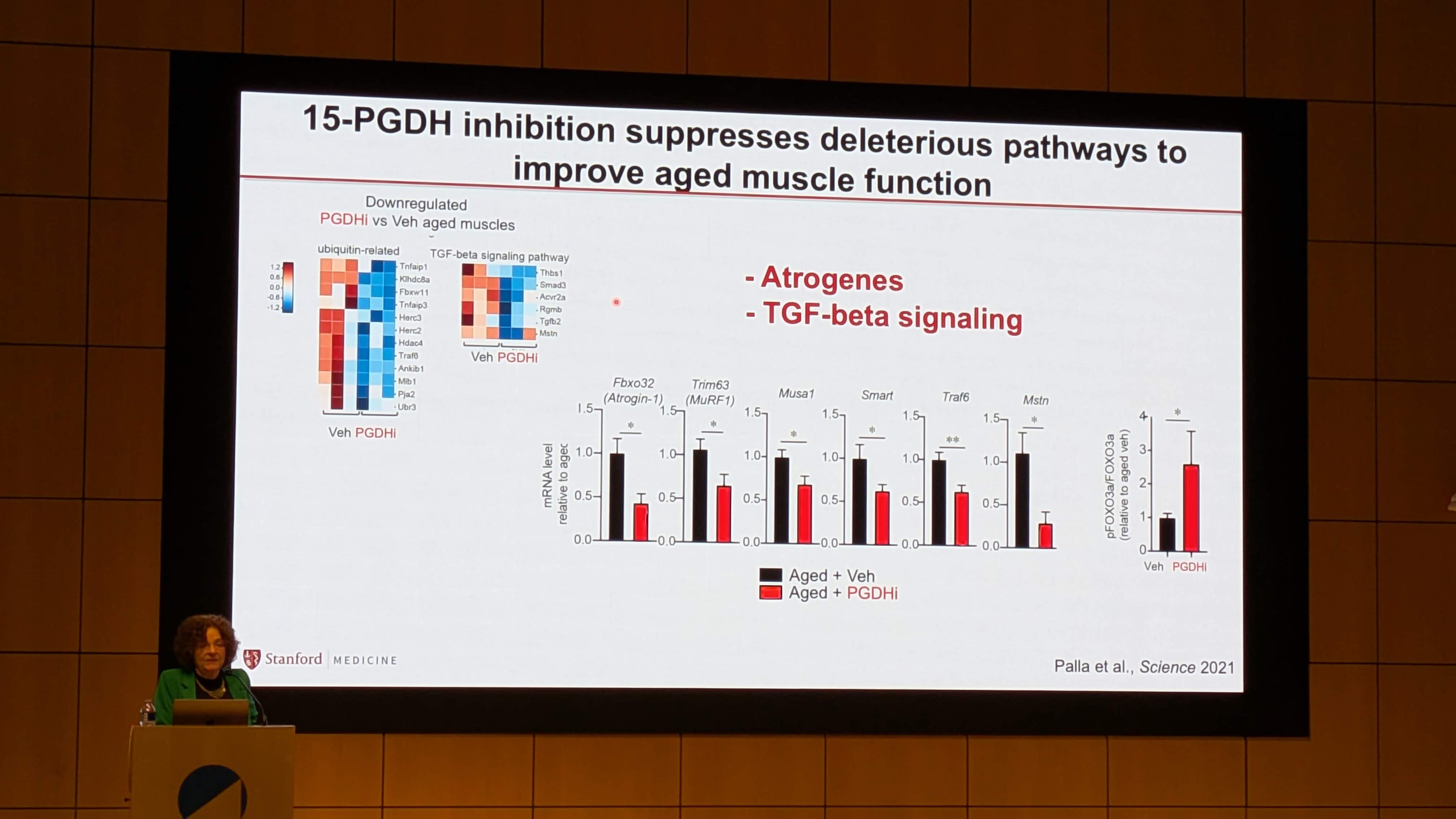 PXL_20251209_180021323