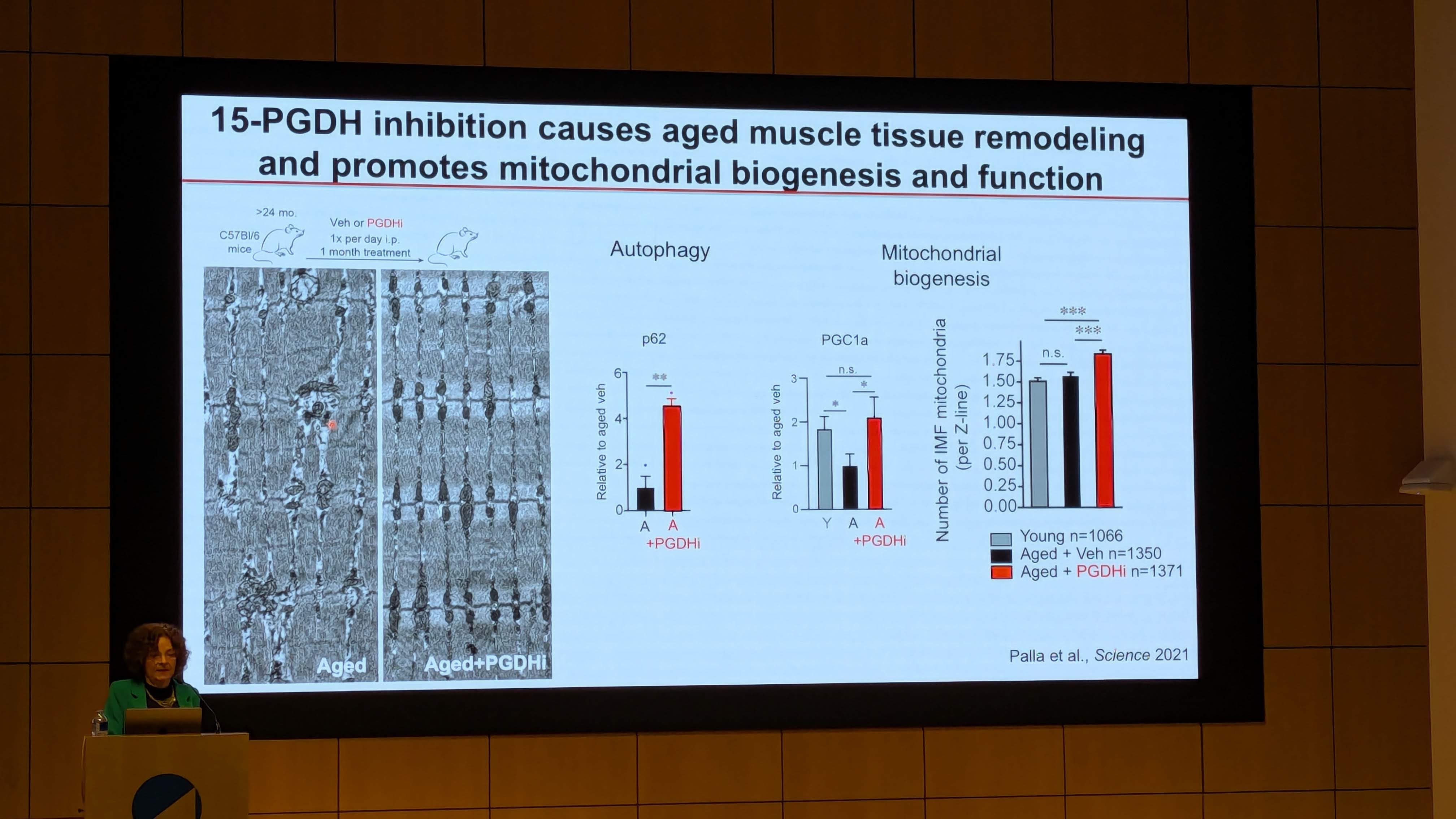 PXL_20251209_180047613