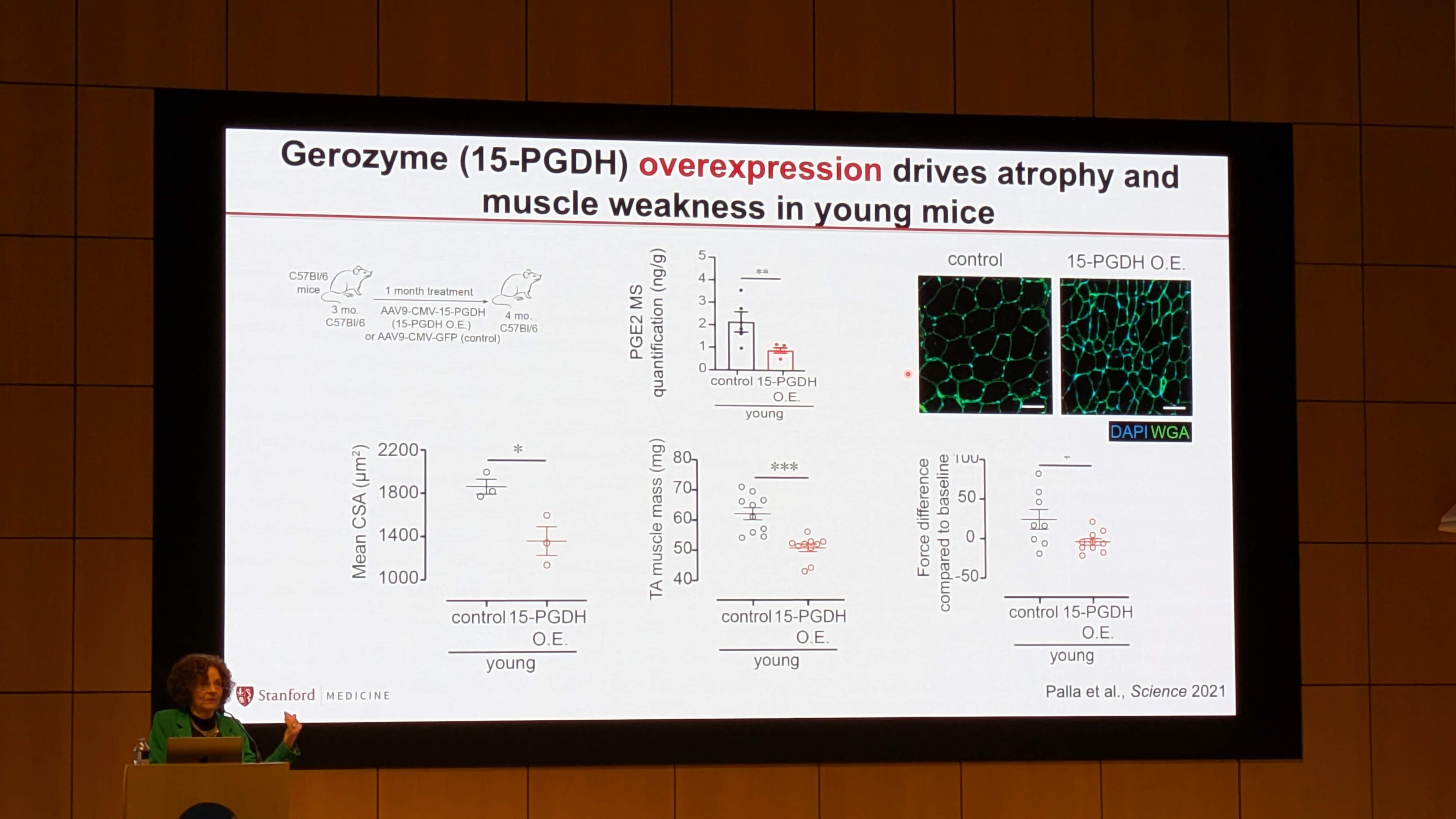 PXL_20251209_175930378