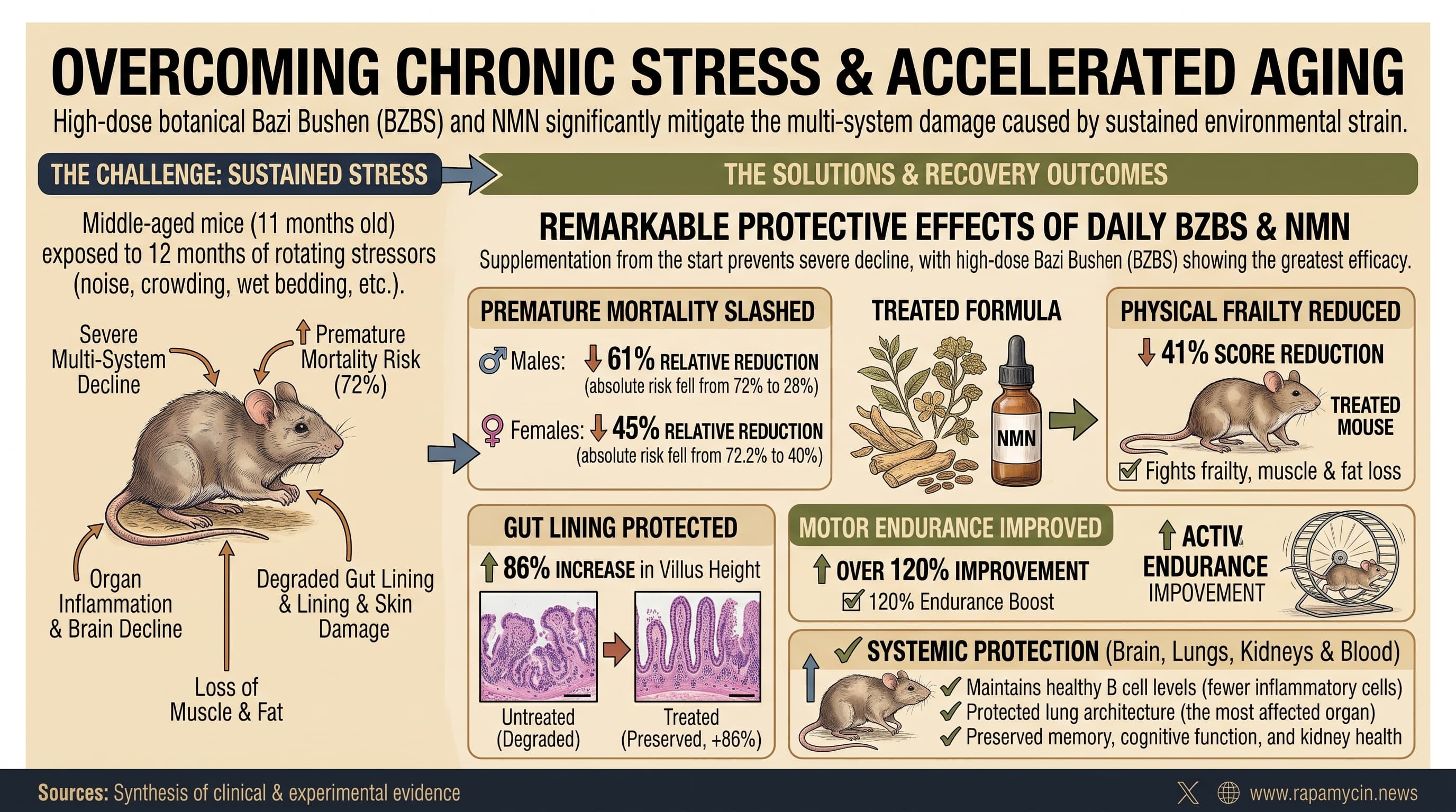 OvercomingStessAccelAging-2