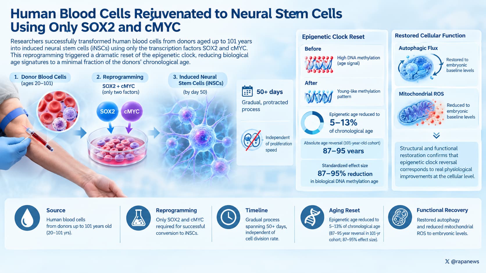 Blood-to-Neural Stem Cell Rejuvenation Infographic