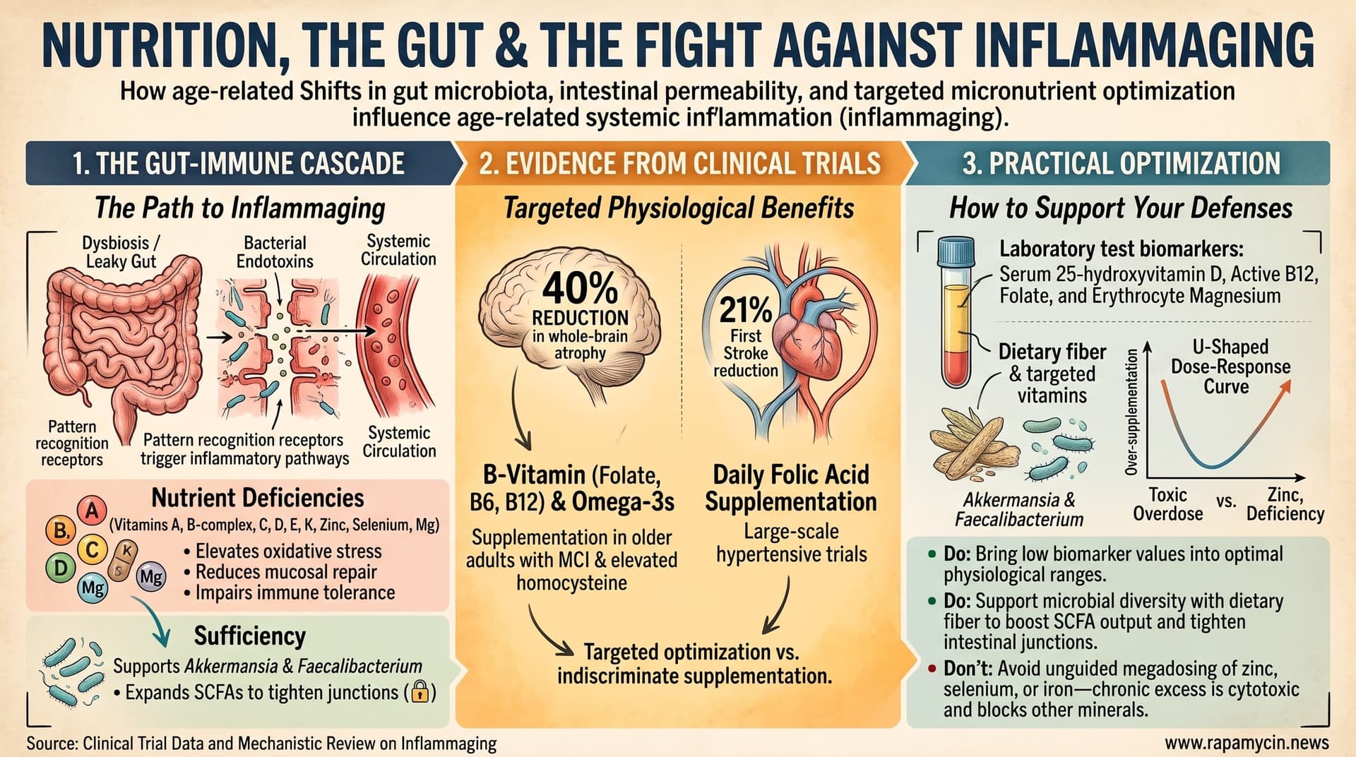 GutInflammationMicronutrients-2