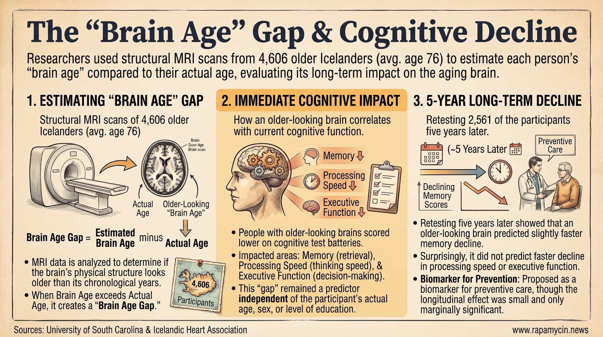 BrainAgeMemory-2